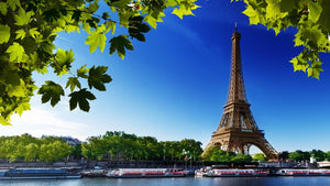 Tela A Beleza de Paris